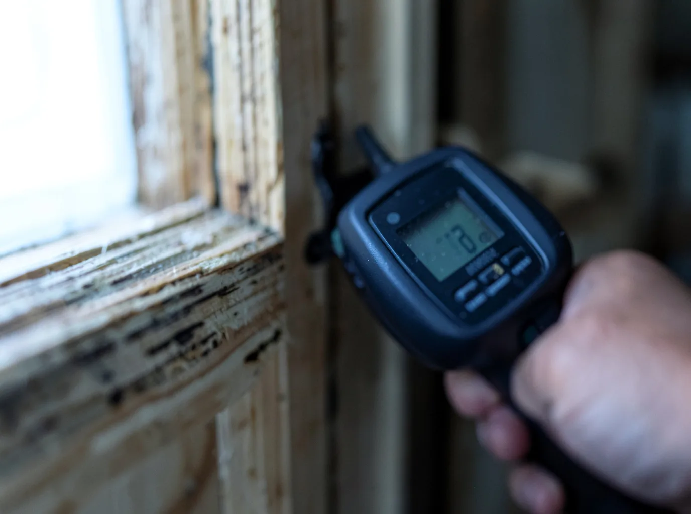 Moisture Inspection And Documentation in South Hadley, MA